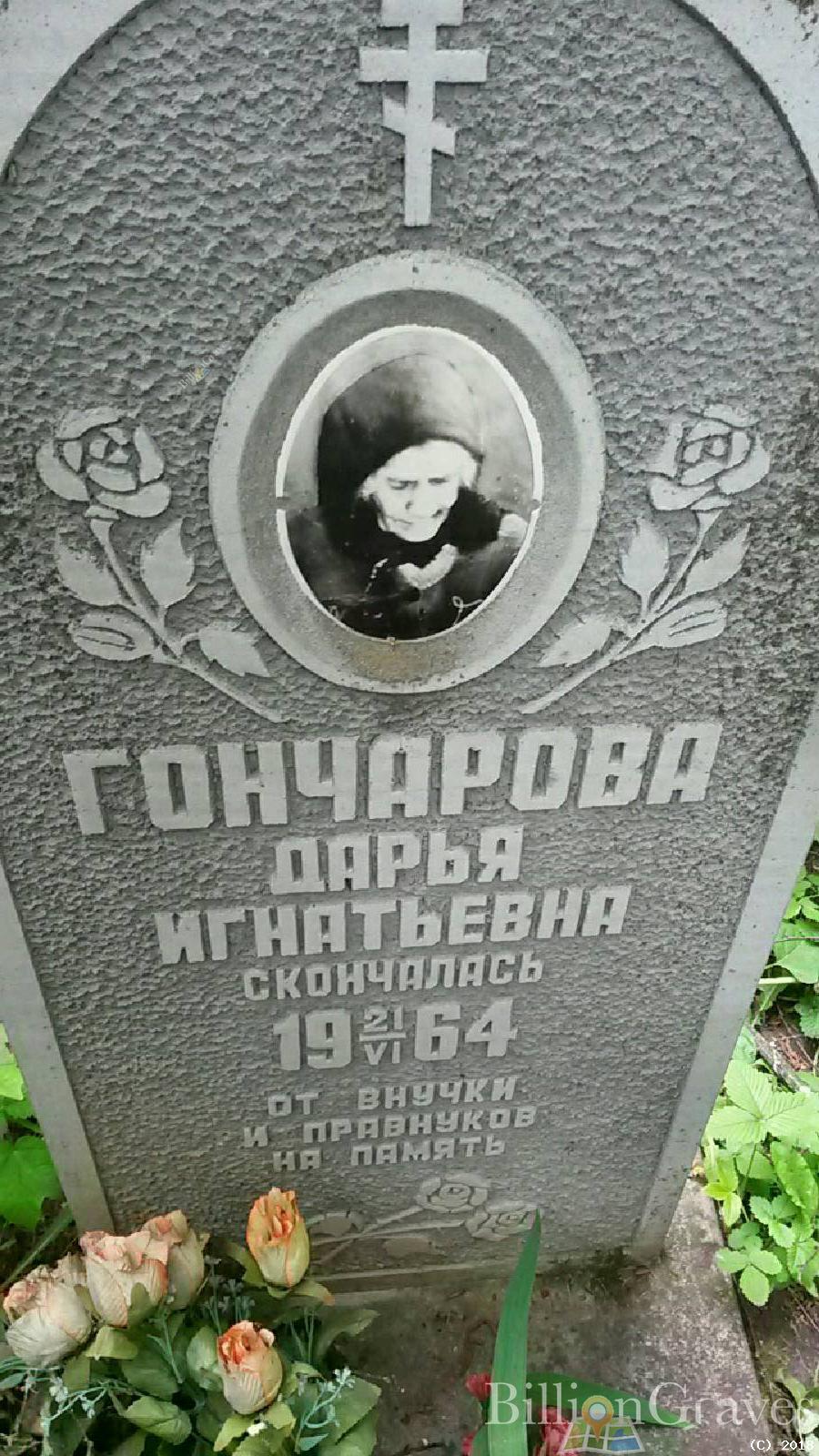 волошина нина дмитриевна