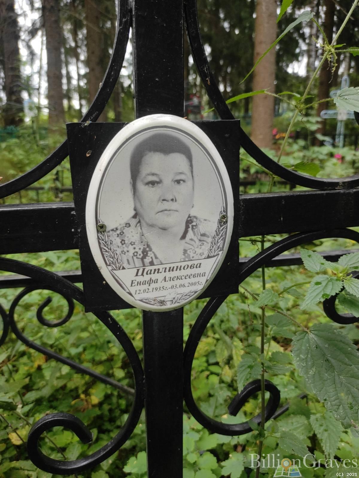 Цаплинова Енафа Алексеевна