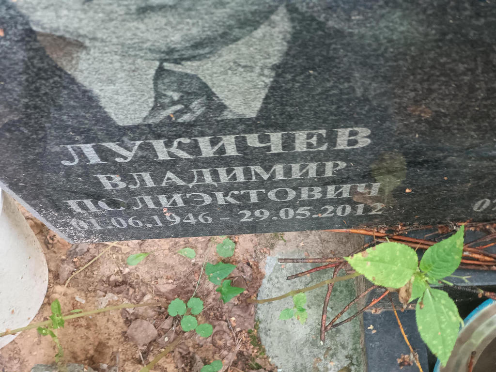 Лукичев Владимир Полиэктович