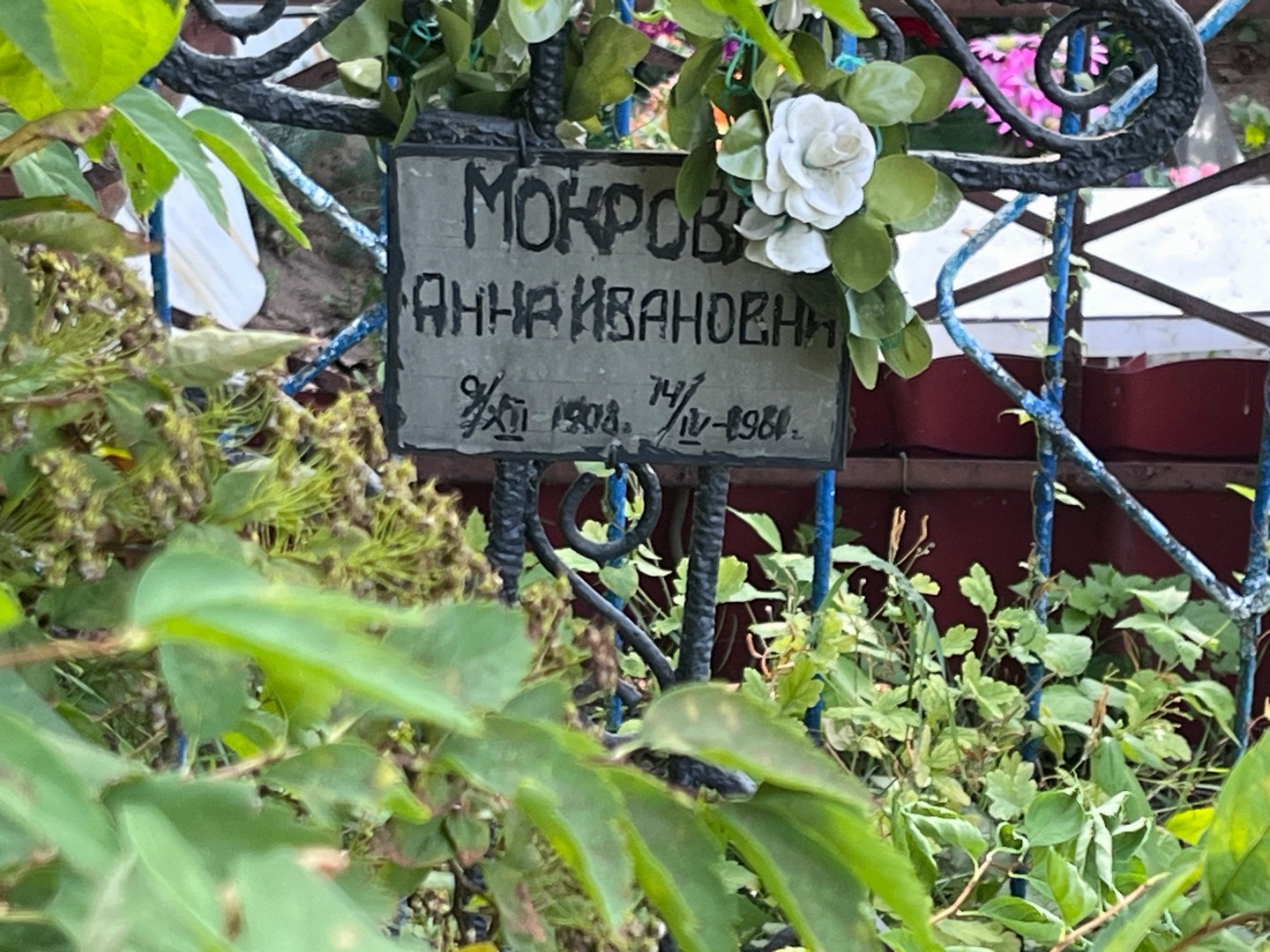 Мокрова