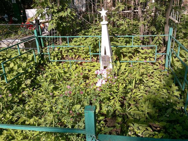 Плаксина Елена Николаевна