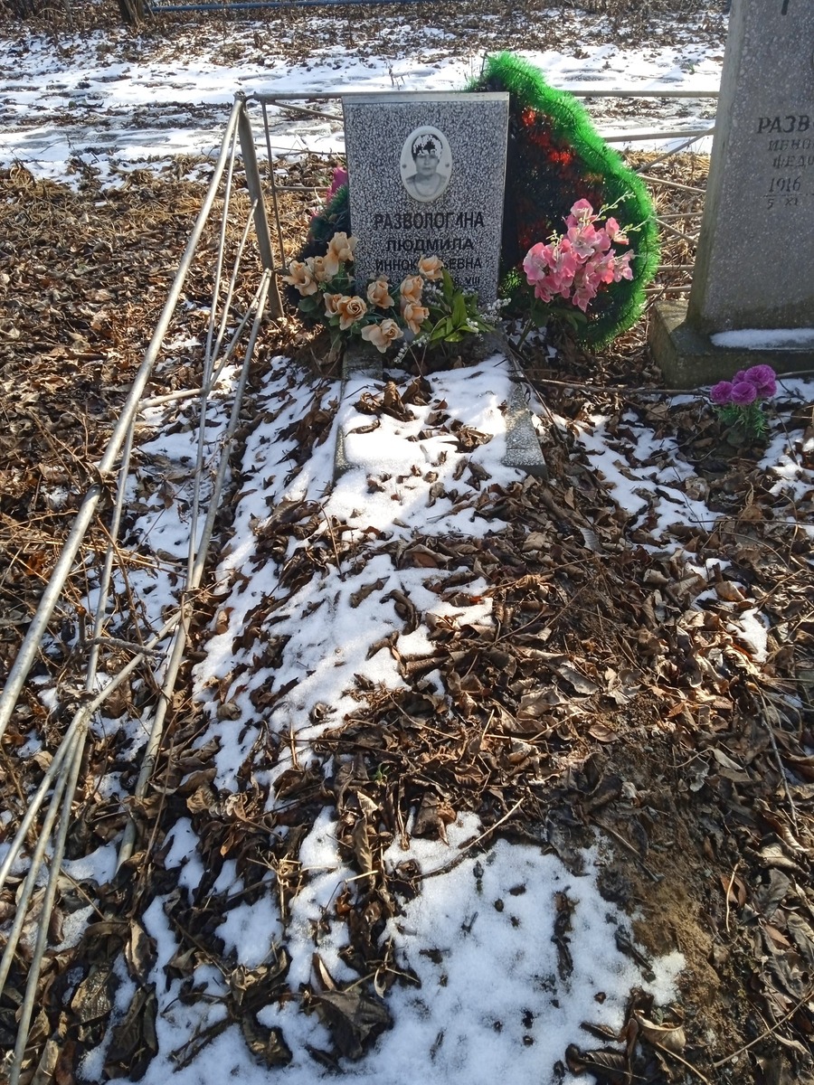 Развологина Людмила Иннокентьевна
