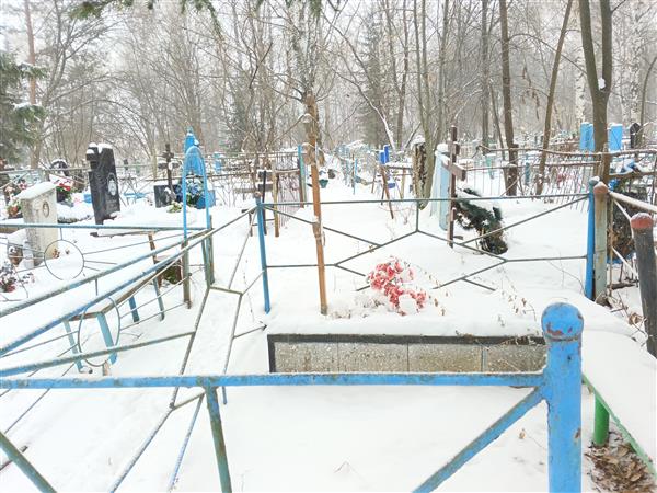 Кольцова Антонида Петровна
