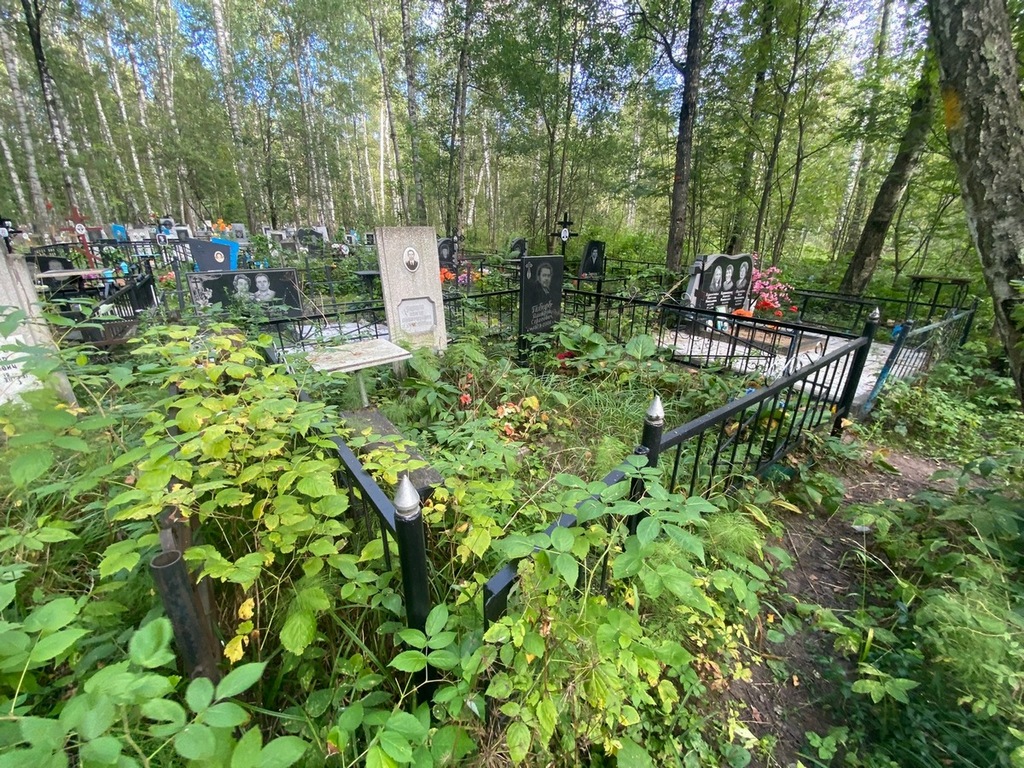 Пивцов Дмитрий Сергеевич
