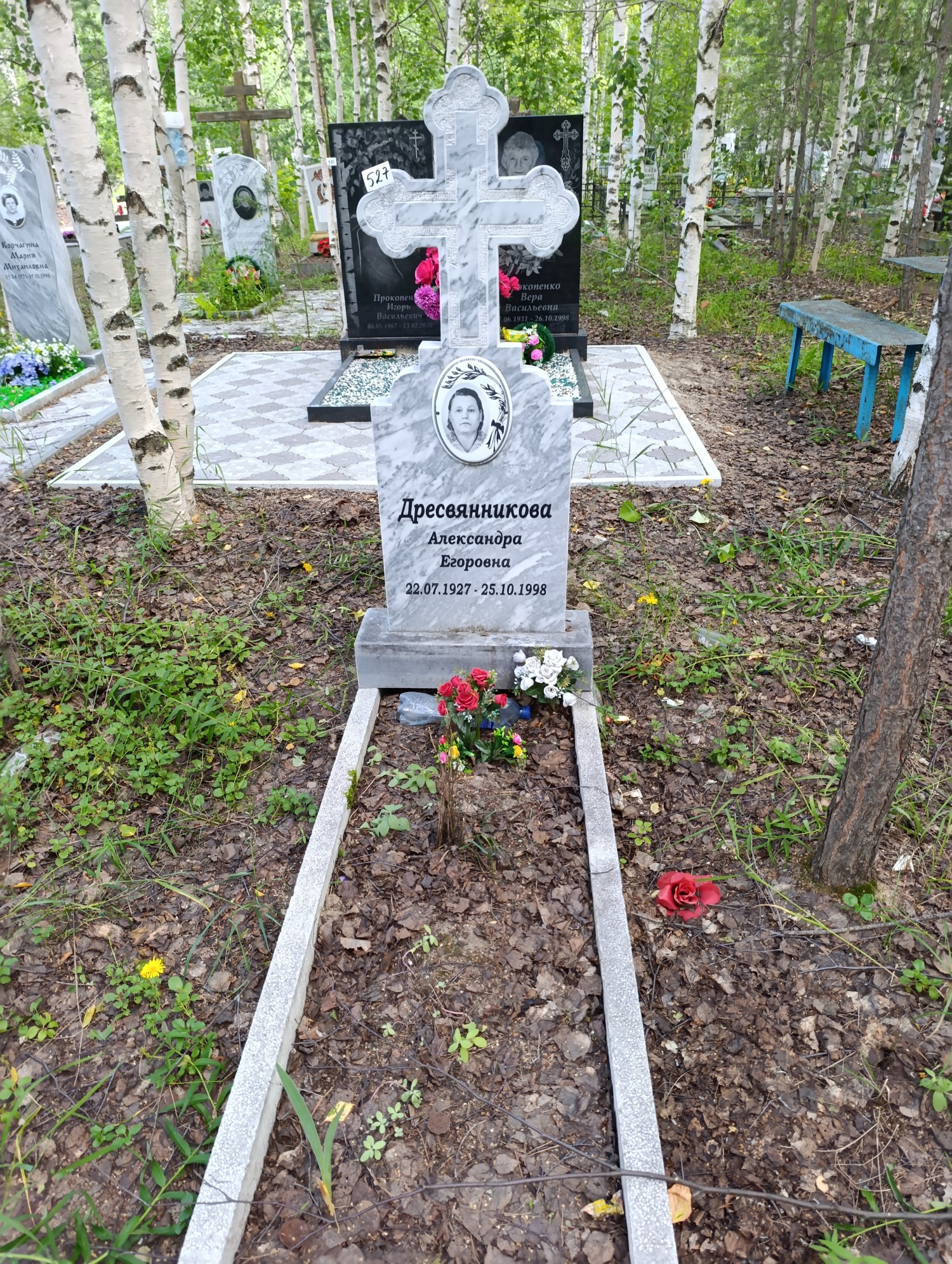 Дресвянникова Александра Егоровна