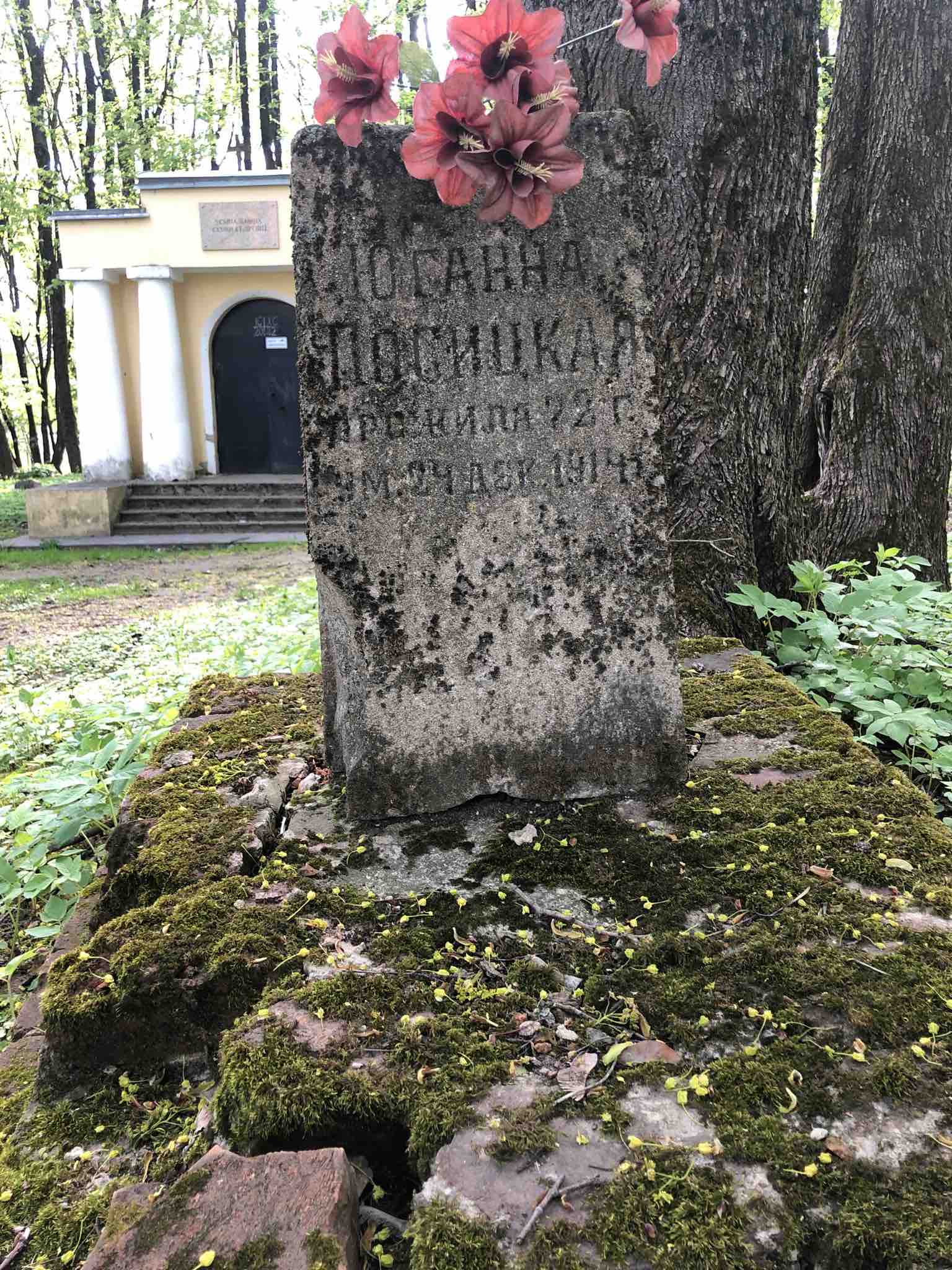 Посицкая Іоганна