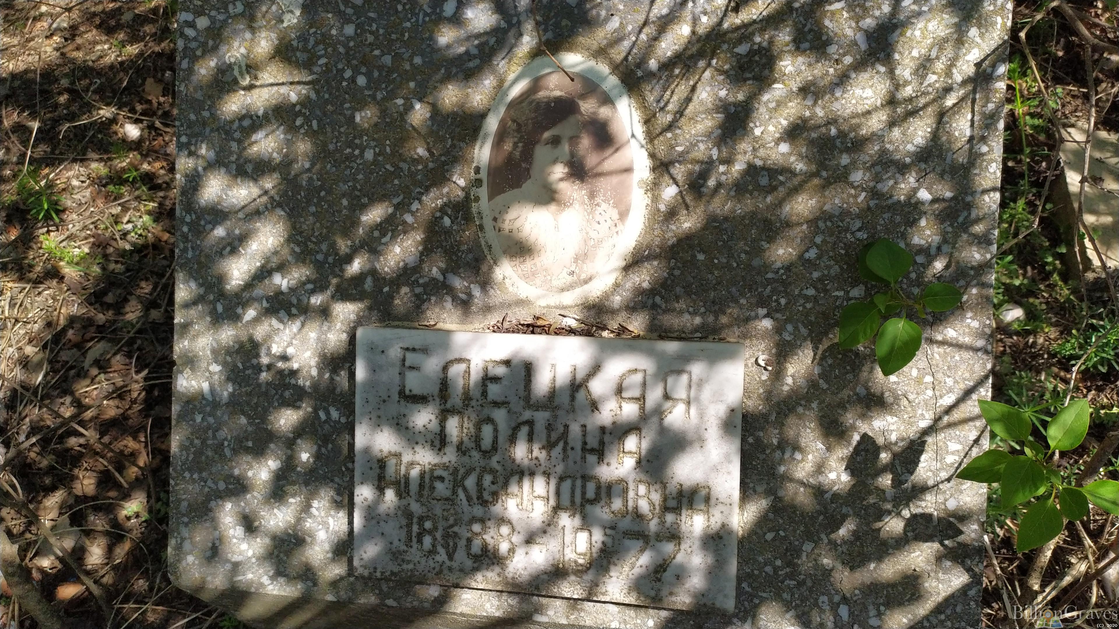 Елецкая Полина Александровна