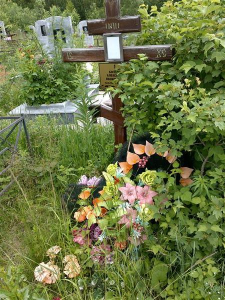 Богомол Александр Васильевич