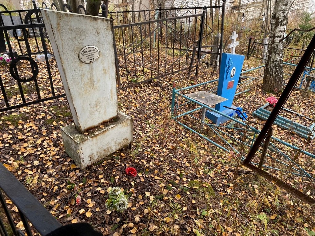 Докторова Наталья Алексеевна