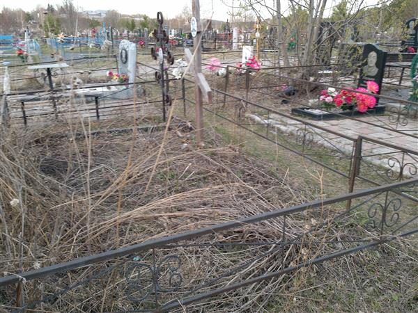 Чаднов Анатолий Федорович