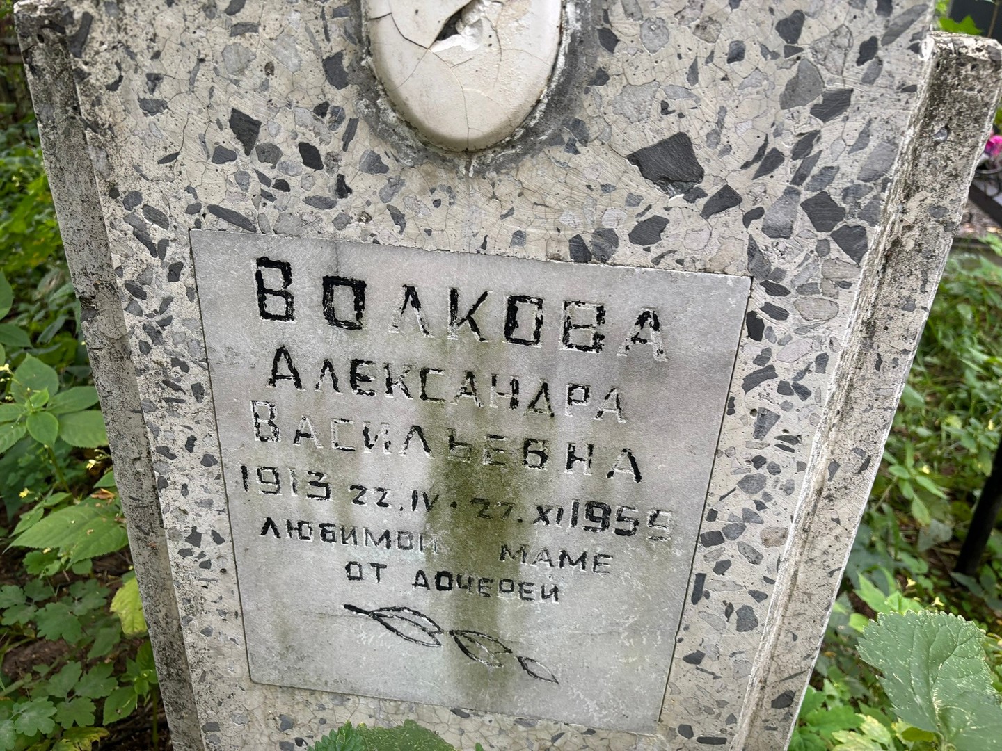 Волкова Александра Васильевна