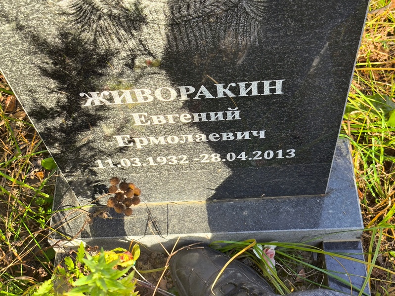 Живоракин
