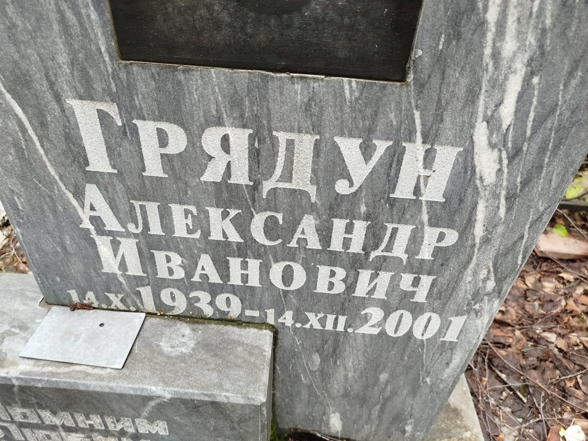 Грядун Александр Иванович