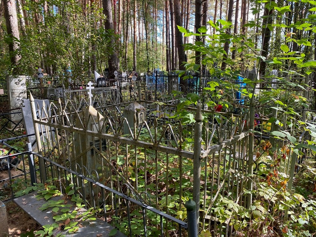 Шарина Дарья Дмитриевна