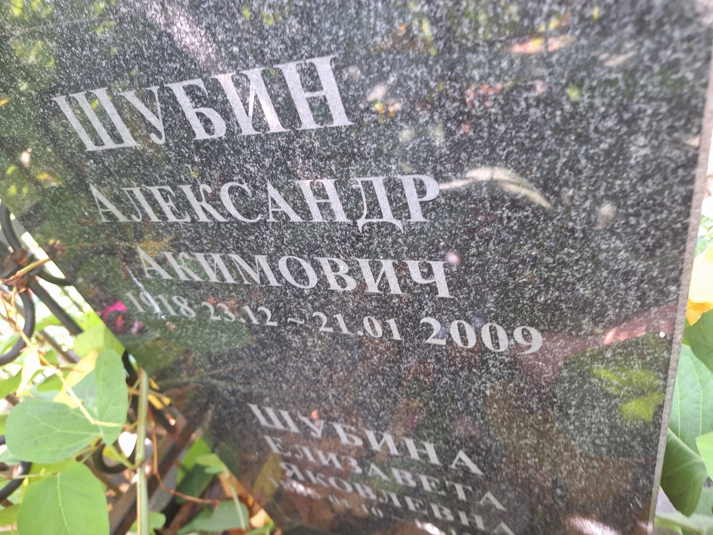 Шубин