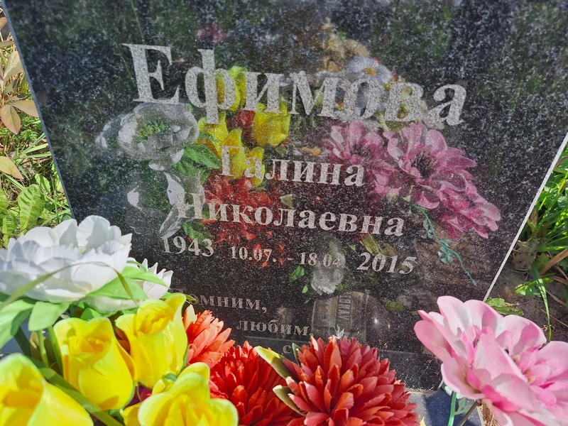 Ефимова