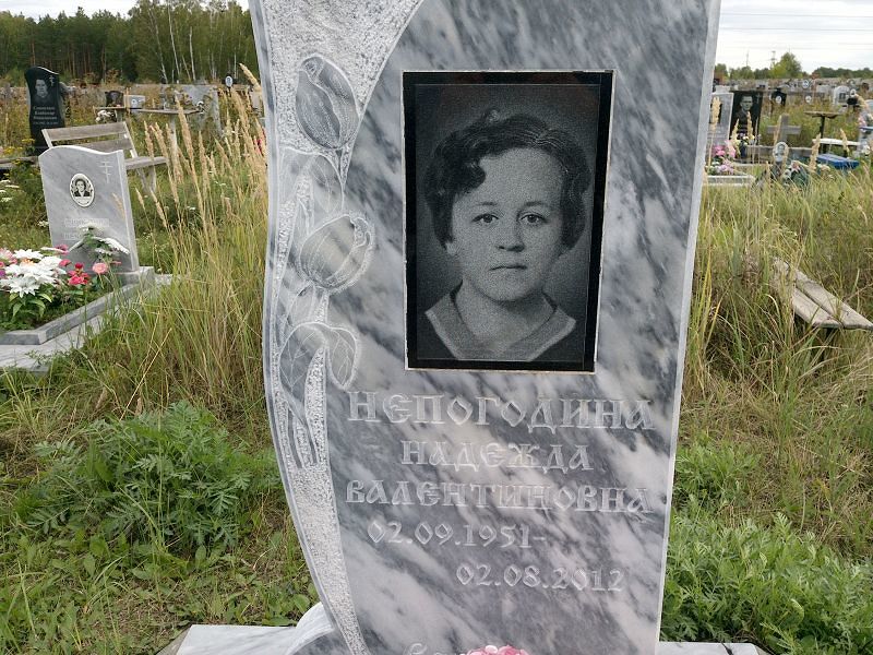 Непогодина