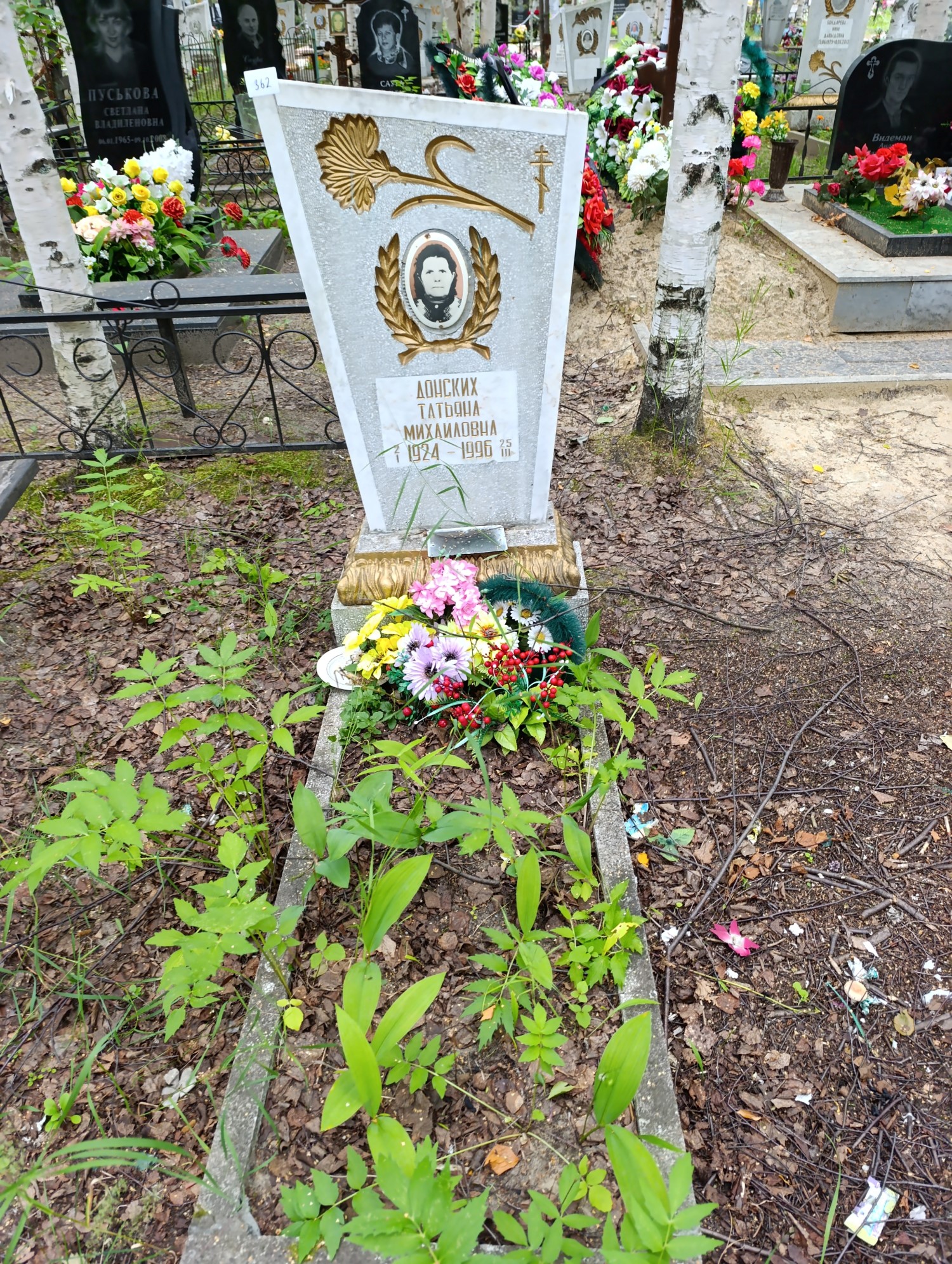 Донских Татьяна Михайловна