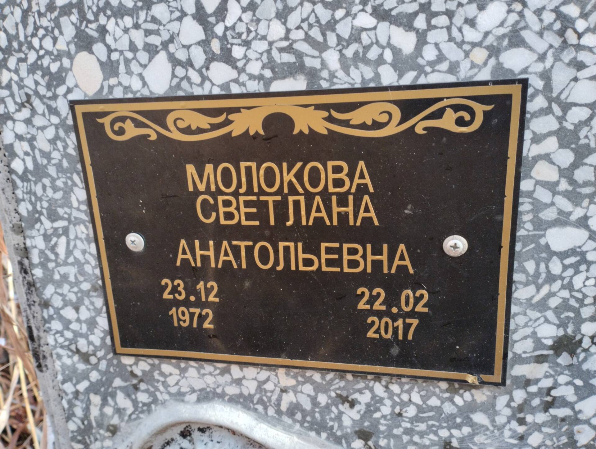 Молокова Светлана Анатольевна
