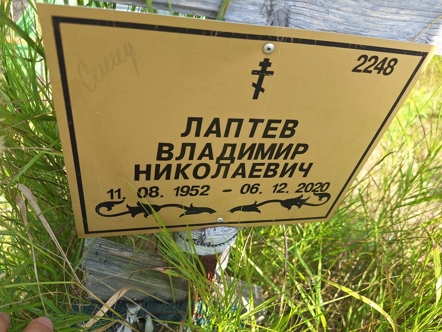 Лаптев