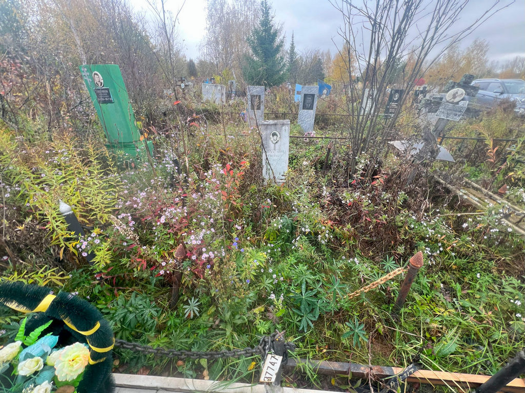 Горшунова Светлана Александровна