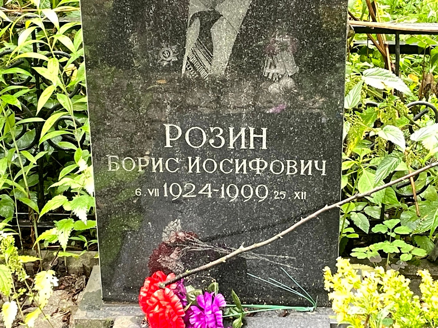 Розин