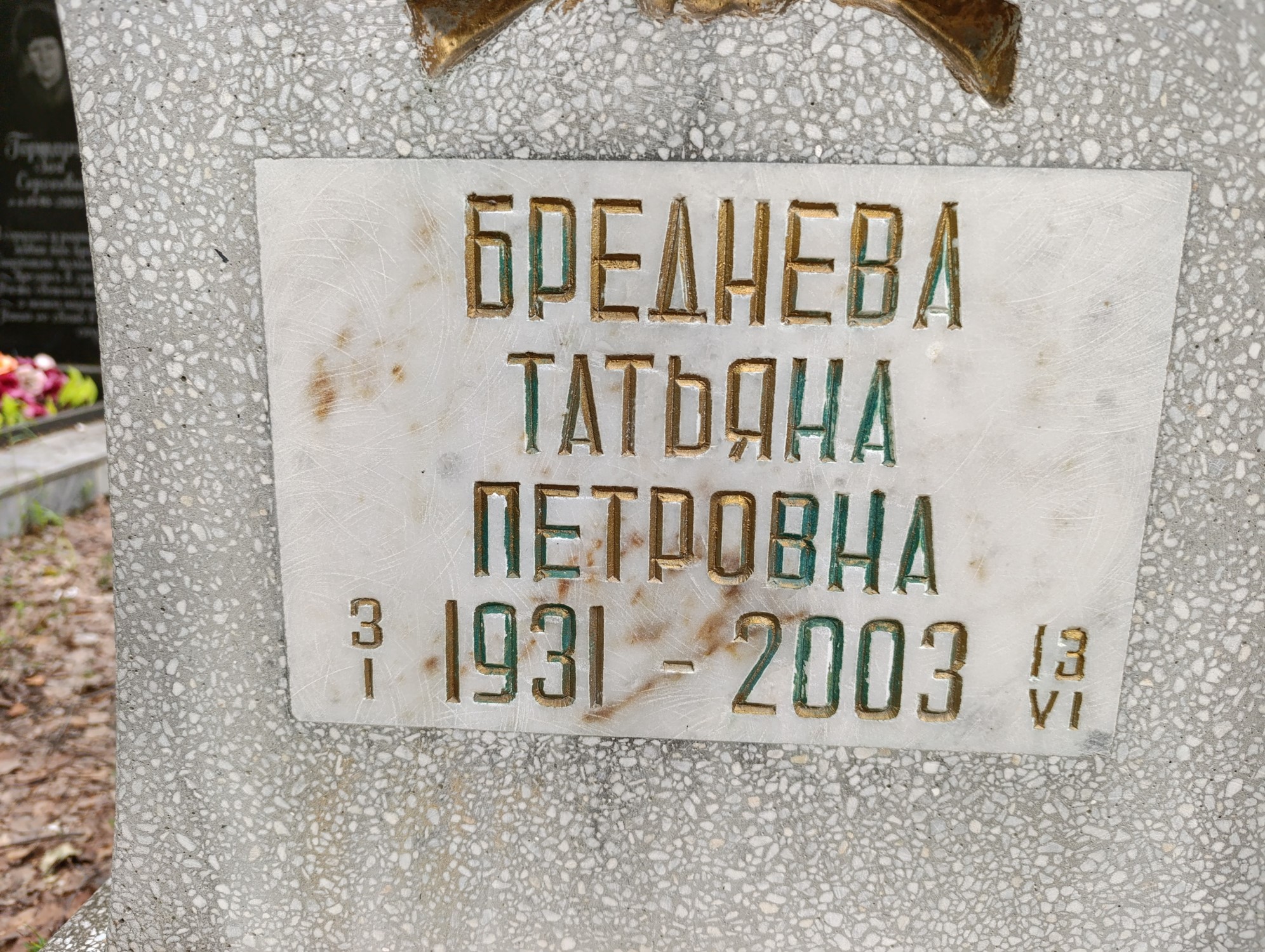 Бреднева Татьяна Петровна