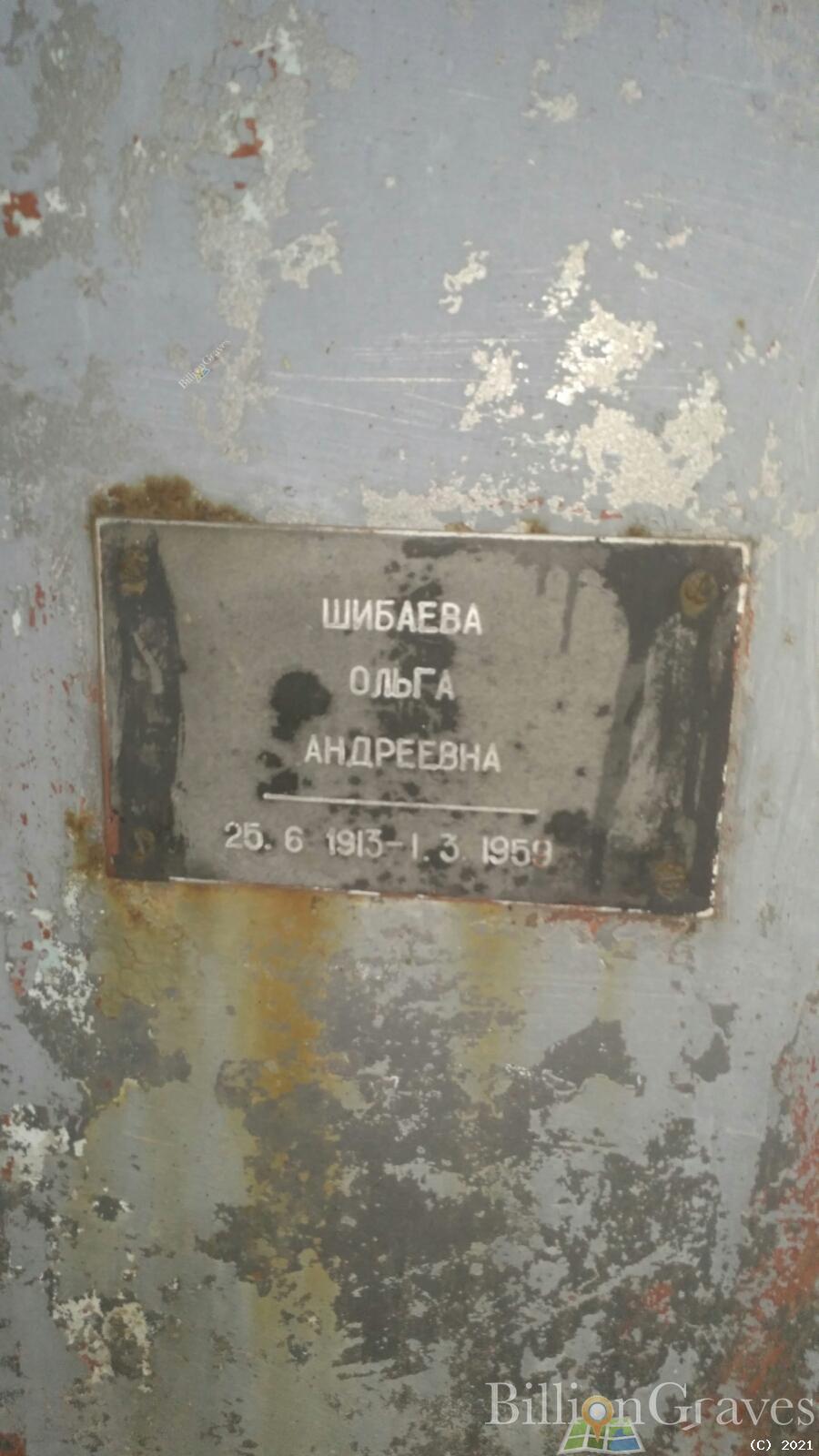 Шибаева Ольга Андреевна