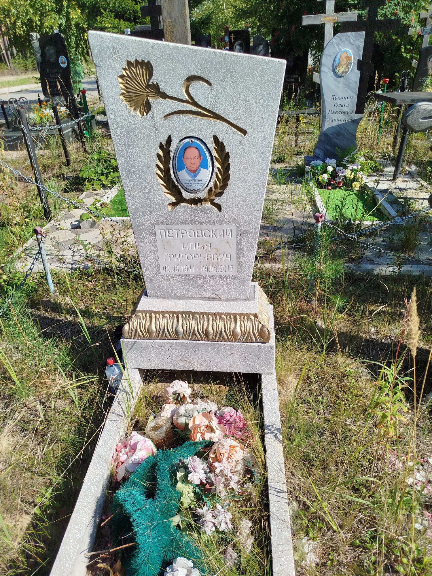 Петровский Илья Григорьевич