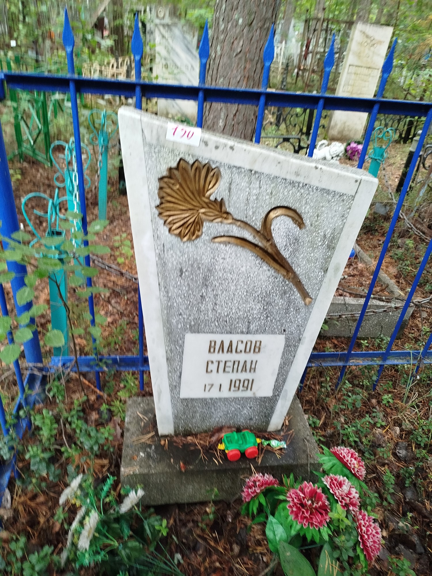 Власов Степан