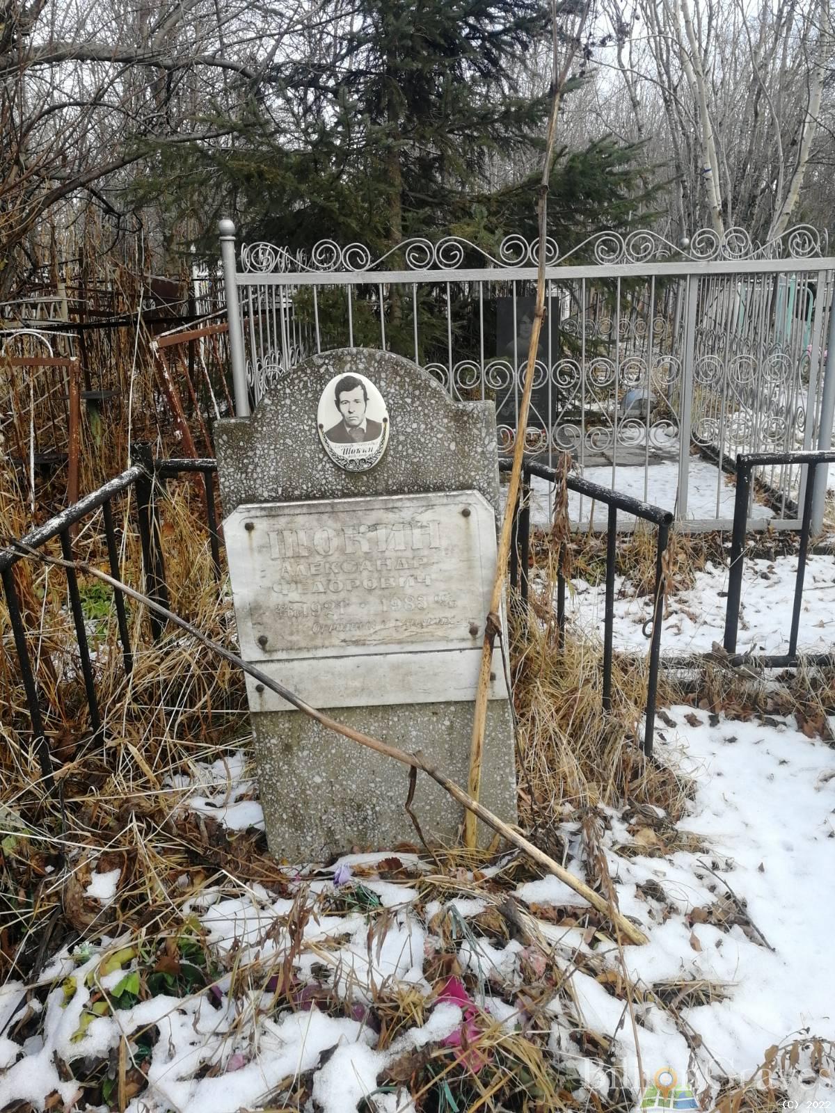 Шокин Александр Федорович