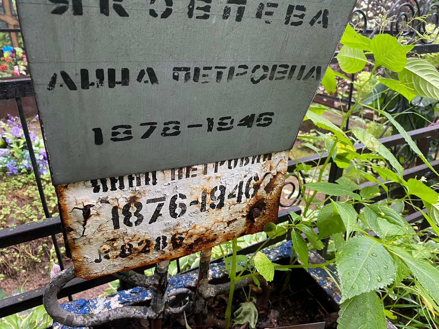 Яковлева