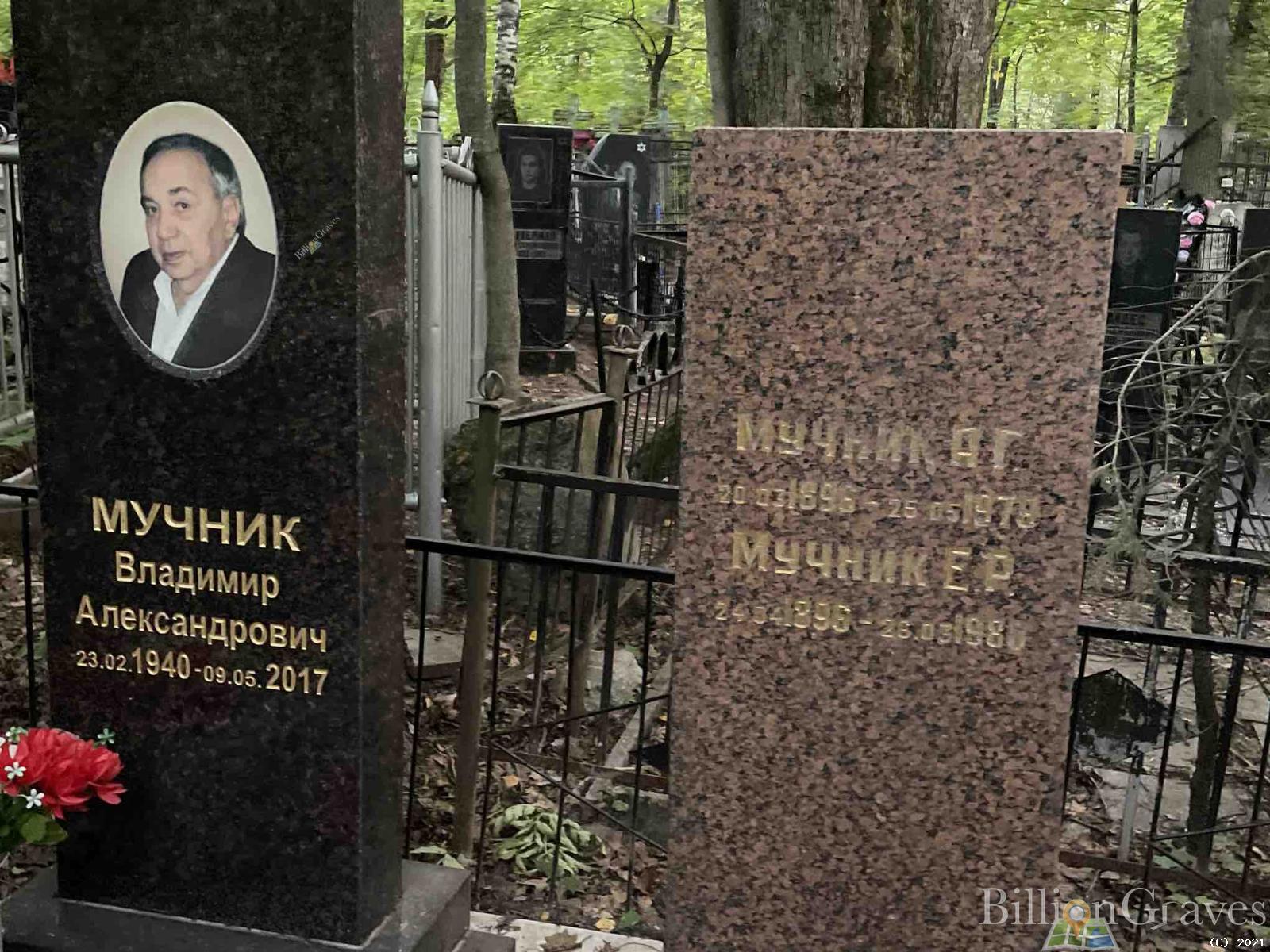 Мучник А.г.