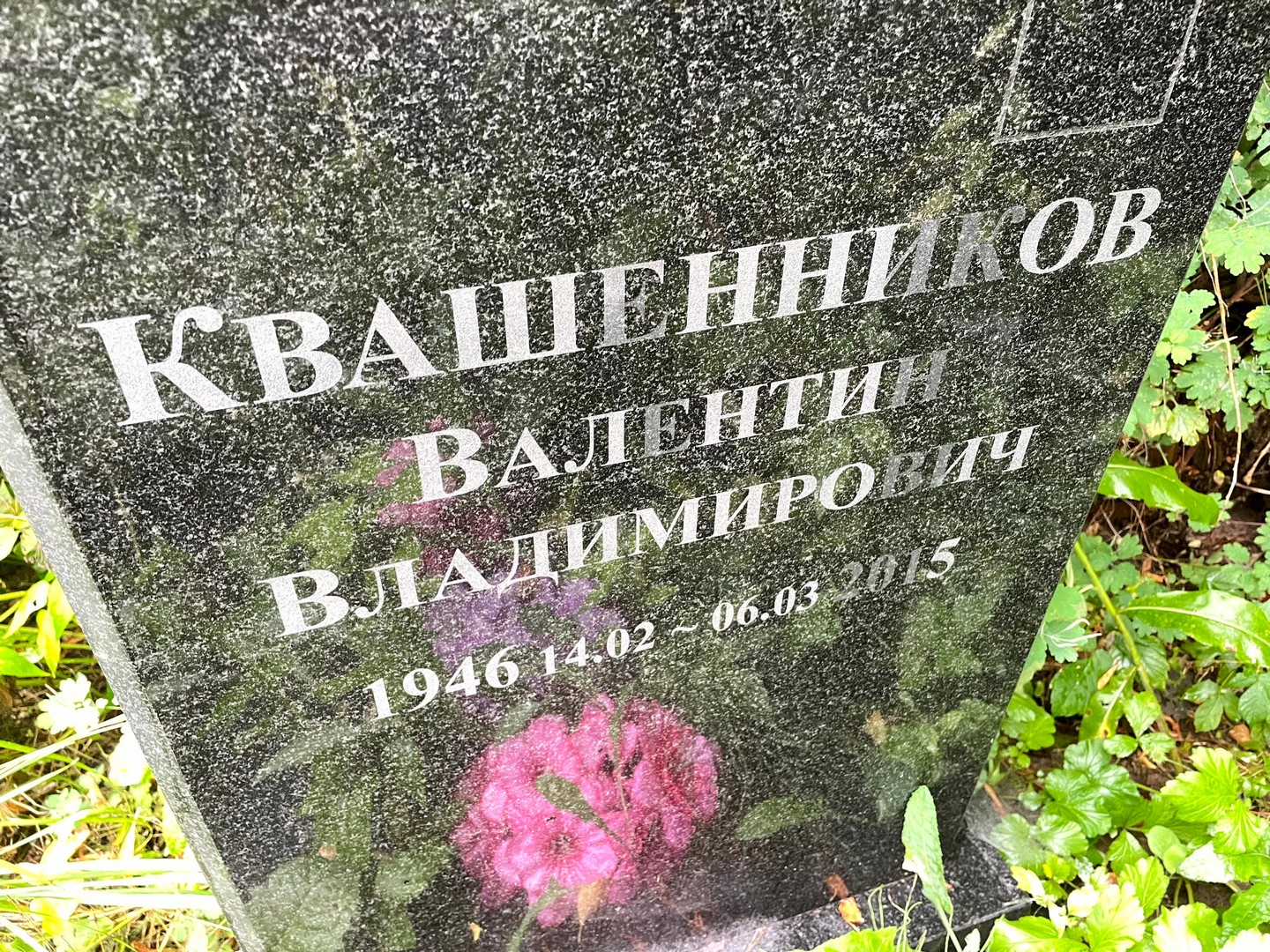 Квашенников