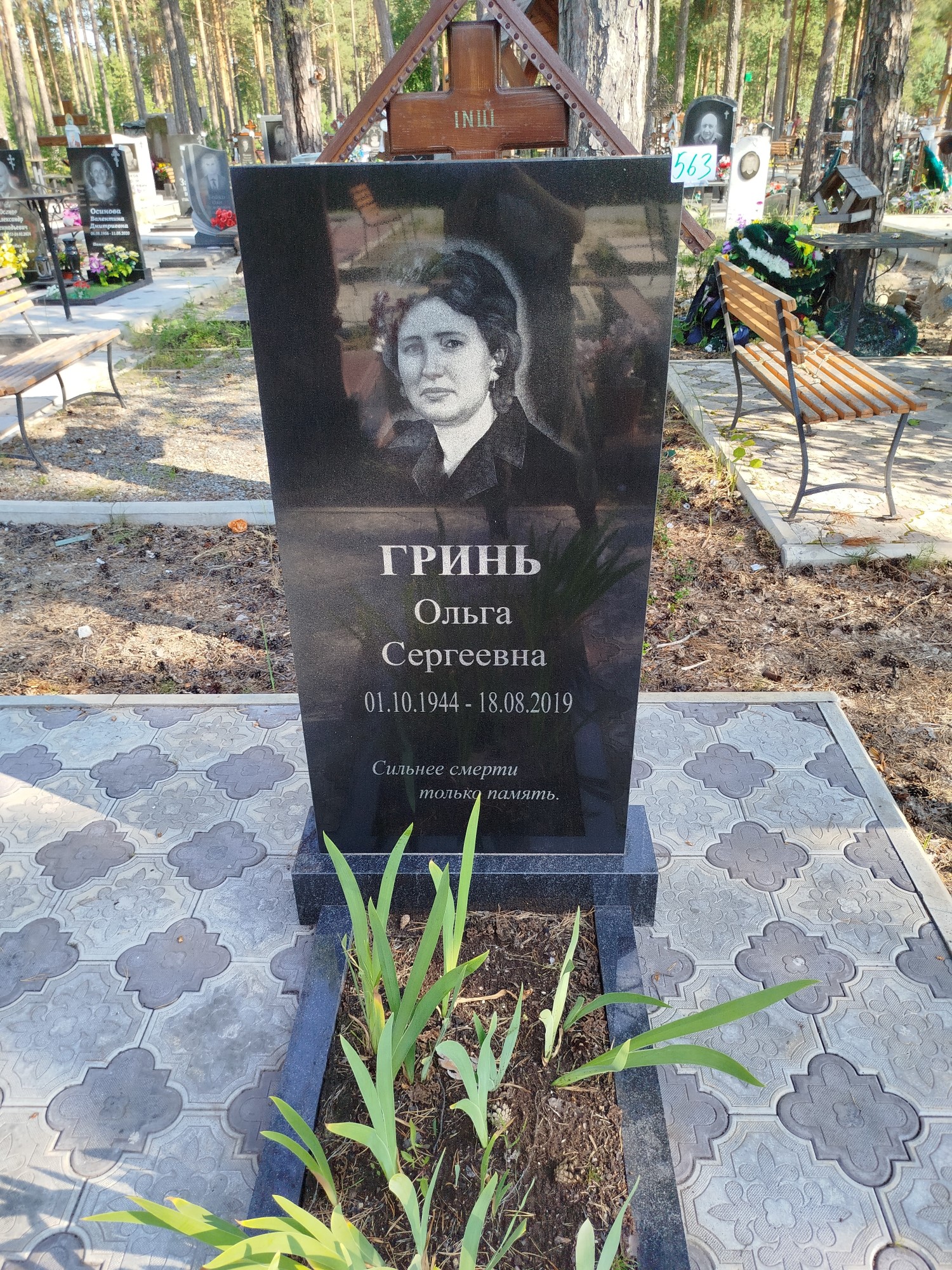 Гринь Ольга Сергеевич