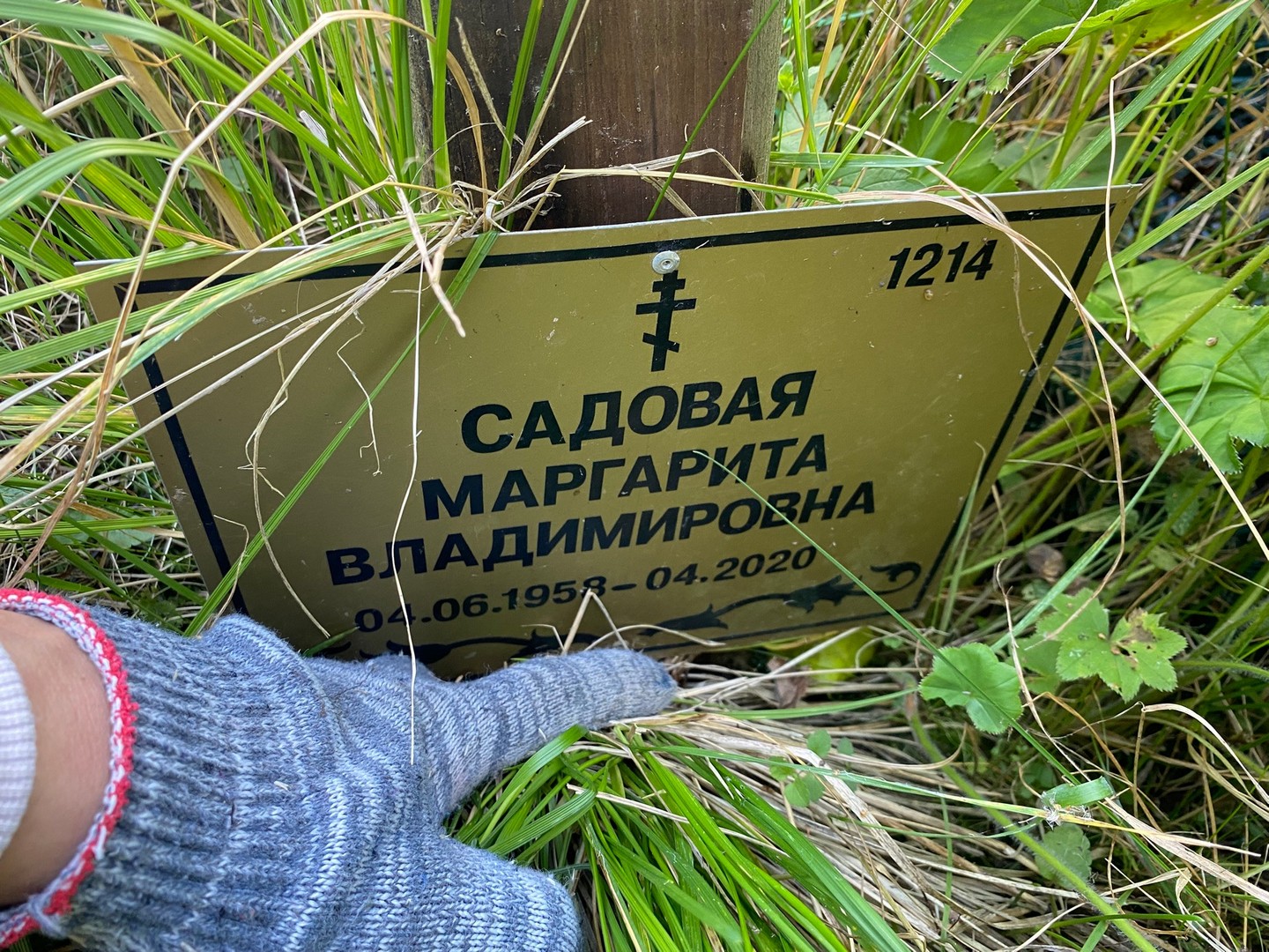 Садовая