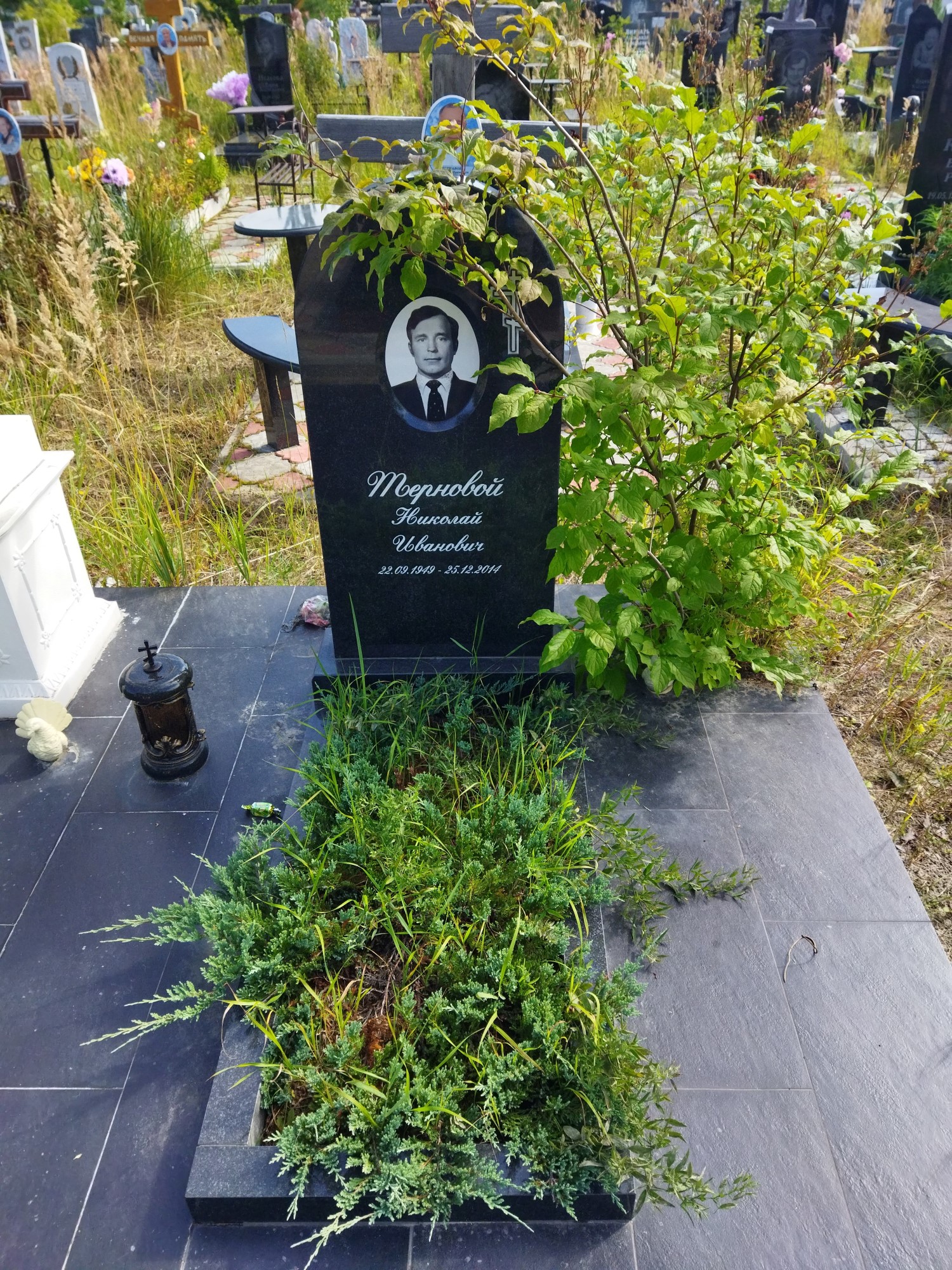Терновой Николай Иванович