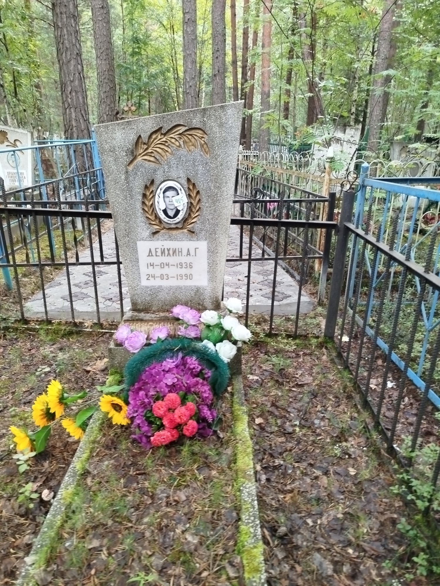 Дейхин А Г