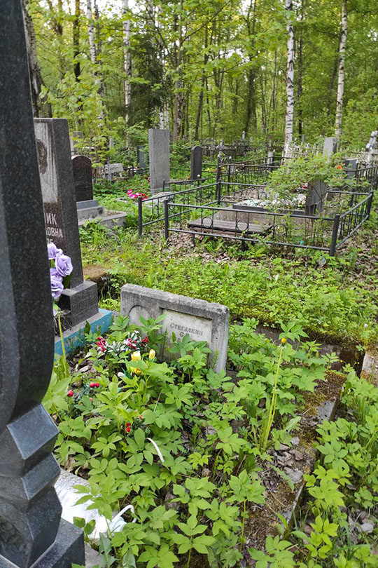 Стегалкин С. Г.
