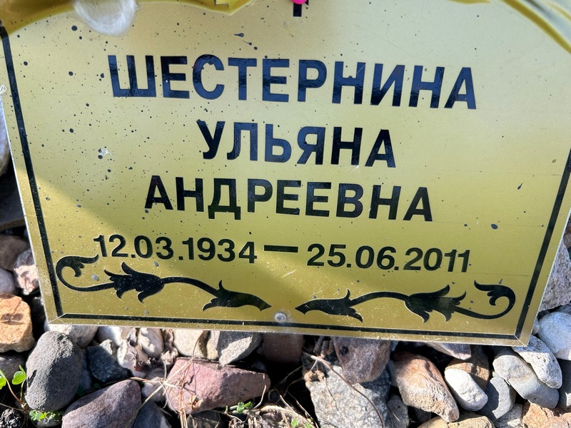 Шестернина Ульяна Андреевна