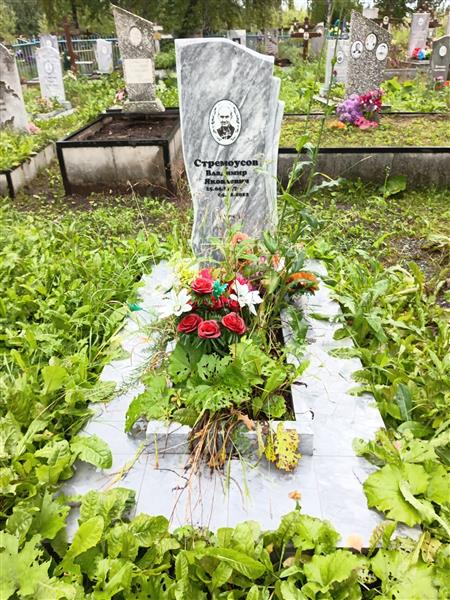 Стремоусов Владимир Яковлевич