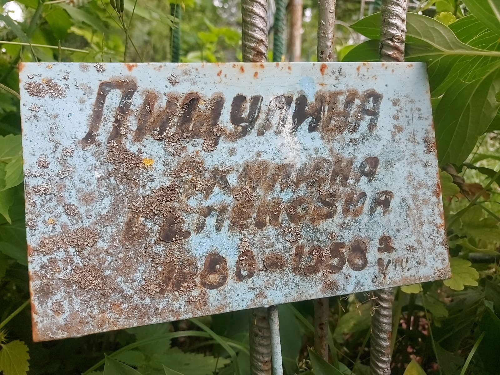 Пищулина Акулина