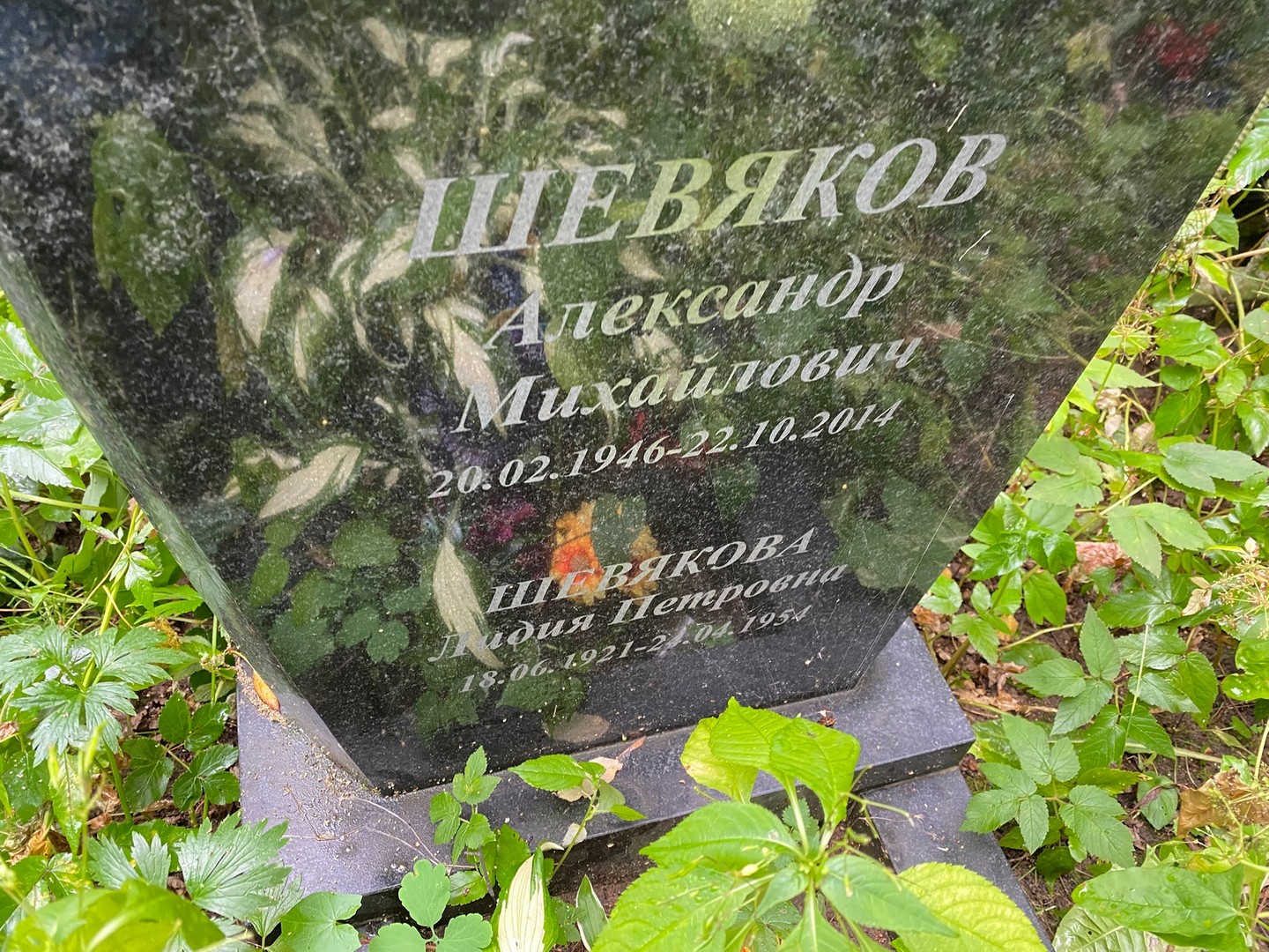 Шевяков