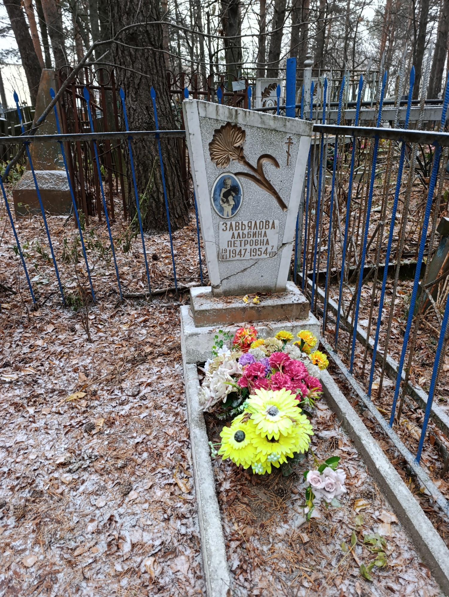 Завьялова Альбина Петровна