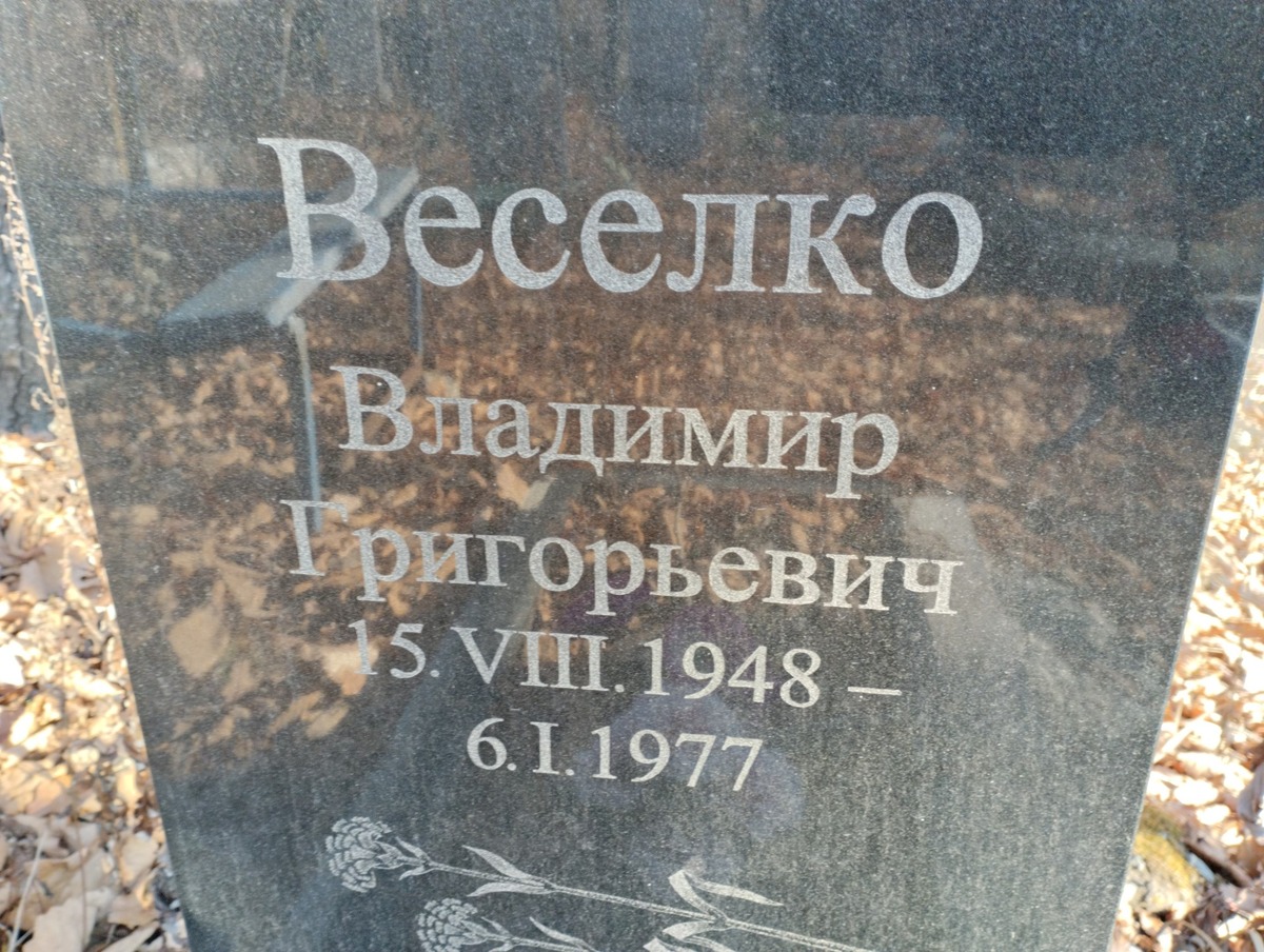 Веселко Владимир Григорьевич