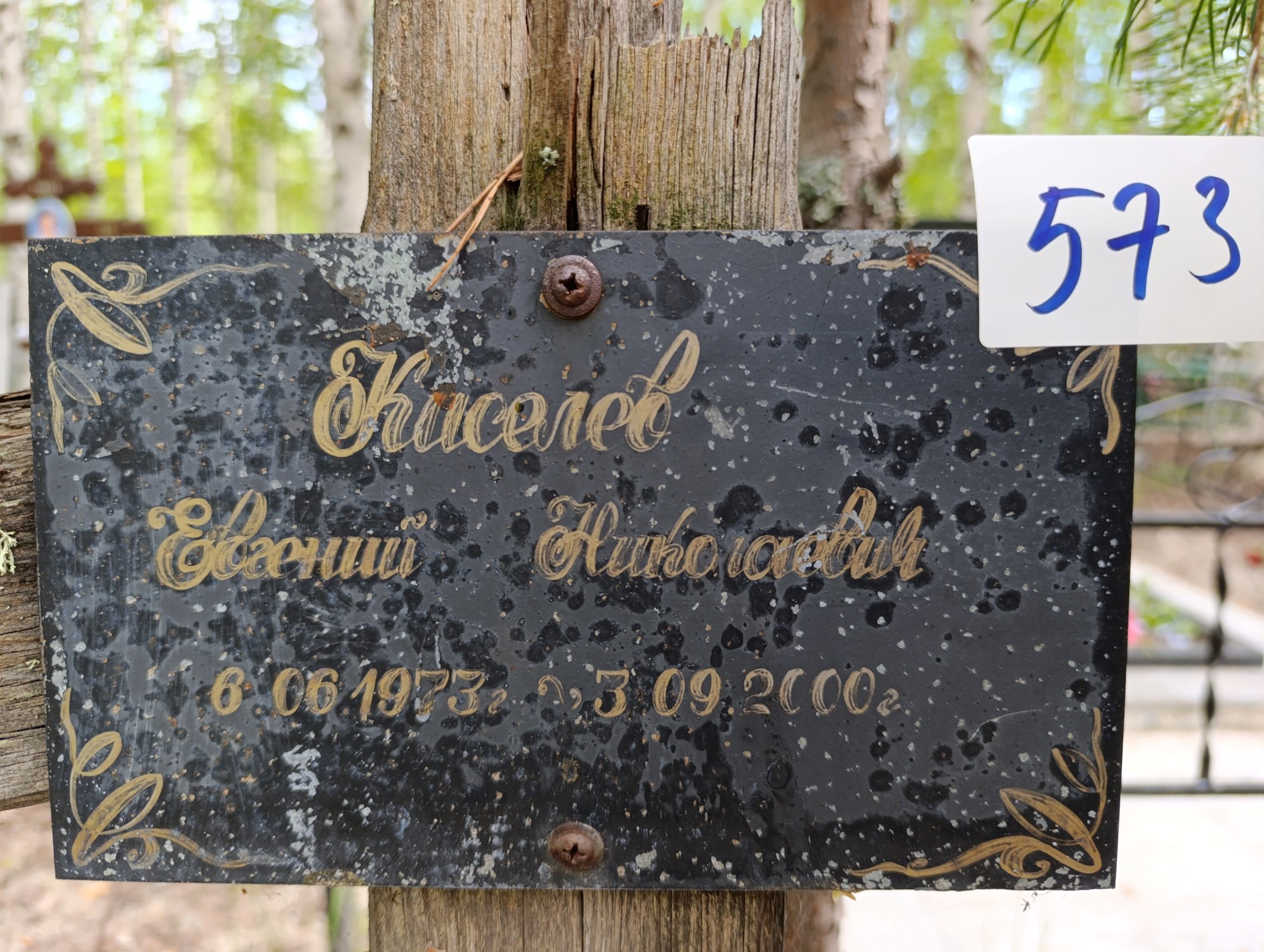 Киселев Евгений Николаевич