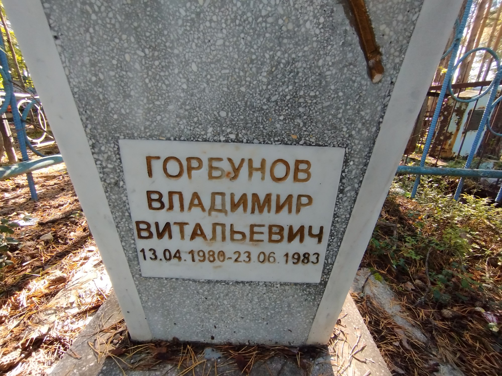 Горбунов Владимир Витальевич
