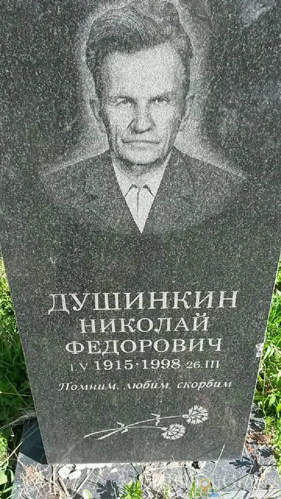 душинкин николай фёдорович