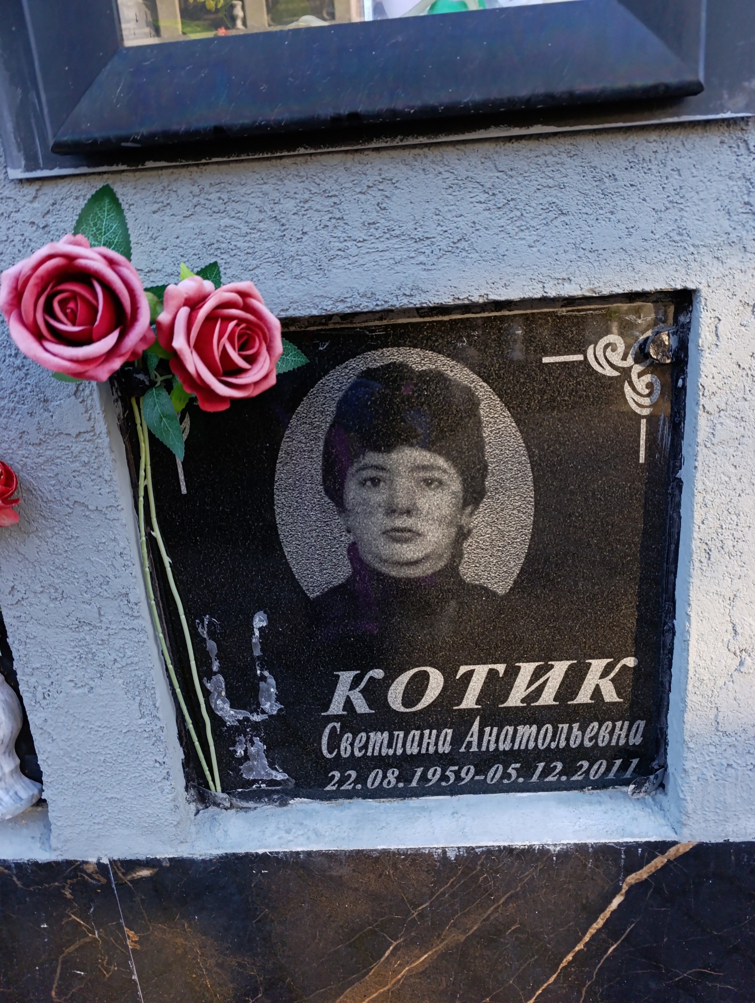 Котик Светлана Анатольевна