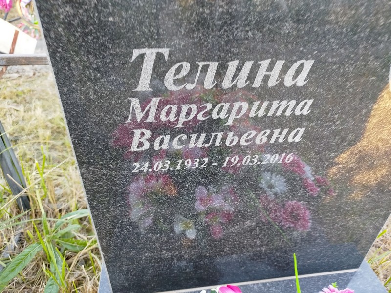 Телина